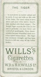 1900 Wills's Cigarettes Animals & Birds (Descriptive) #NNO Tiger Back