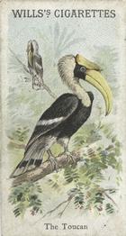 1900 Wills's Cigarettes Animals & Birds (Descriptive) #NNO Toucan Front