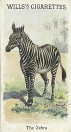 1900 Wills's Cigarettes Animals & Birds (Descriptive) #NNO Zebra Front