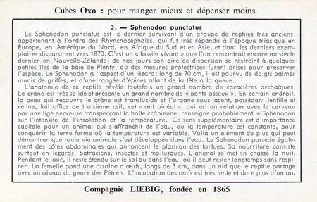 1959 Liebig Animaux issus de la prehistoire (Living Prehistoric Animals) (French Text) (F1701, S1705) #3 Sphenodon punctatus Back