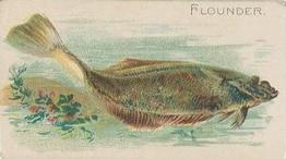 1910 American Tobacco Co. Fish Series (T58) - Sweet Caporal Cigarettes Factory 30 #NNO Flounder Front