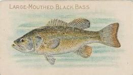 1910 American Tobacco Co. Fish Series (T58) - Sweet Caporal Cigarettes Factory 30 #NNO Large-Mouthed Black Bass Front