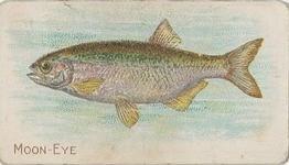 1910 American Tobacco Co. Fish Series (T58) - Sweet Caporal Cigarettes Factory 30 #NNO Mooneye Front