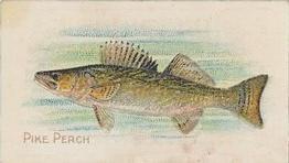 1910 American Tobacco Co. Fish Series (T58) - Sweet Caporal Cigarettes Factory 30 #NNO Pike Perch Front