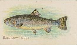 1910 American Tobacco Co. Fish Series (T58) - Sweet Caporal Cigarettes Factory 30 #NNO Rainbow Trout Front
