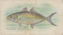1910 American Tobacco Co. Fish Series (T58) - Sweet Caporal Cigarettes Factory 30 #NNO Yellow Mackerel Front