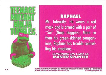 1990 Regina Teenage Mutant Ninja Turtles: The Movie #5 Raphael Back