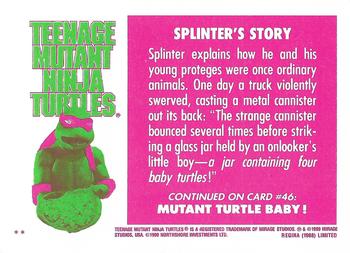 1990 Regina Teenage Mutant Ninja Turtles: The Movie #45 Splinter's Story Back