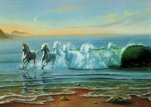 1994 Comic Images Jim Warren's Fanta Sea Keepsake Collection #NNO Wildwaters Front