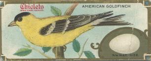 1930 Canadian Chewing Gum Bird Studies (V120) #NNO American Goldfinch Front