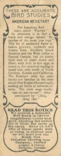 1930 Canadian Chewing Gum Bird Studies (V120) #NNO American Redstart Back