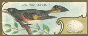 1930 Canadian Chewing Gum Bird Studies (V120) #NNO American Redstart Front