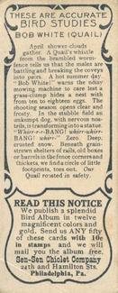1930 Canadian Chewing Gum Bird Studies (V120) #NNO Bob White (Quail) Back