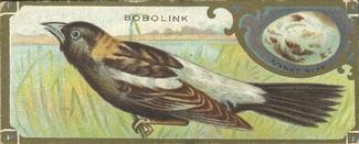 1930 Canadian Chewing Gum Bird Studies (V120) #NNO Bobolink Front