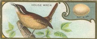1930 Canadian Chewing Gum Bird Studies (V120) #NNO House Wren Front