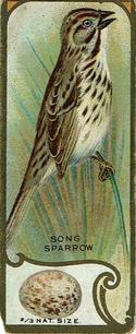 1930 Canadian Chewing Gum Bird Studies (V120) #NNO Song Sparrow Front