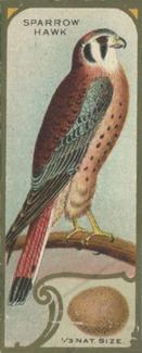1930 Canadian Chewing Gum Bird Studies (V120) #NNO Sparrow Hawk Front