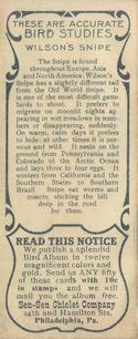1930 Canadian Chewing Gum Bird Studies (V120) #NNO Wilson's Snipe Back