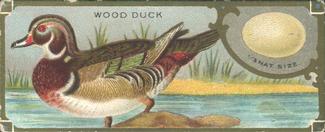 1930 Canadian Chewing Gum Bird Studies (V120) #NNO Wood Duck Front