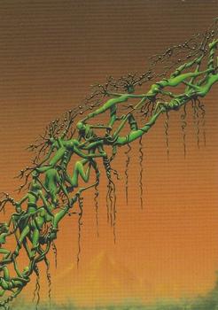 1994 FPG Tim White Fantasy Art #43 Greenworld Front