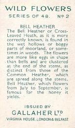 1939 Gallaher Wild Flowers #2 Bell Heather Back