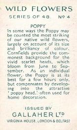 1939 Gallaher Wild Flowers #4 Poppy Back