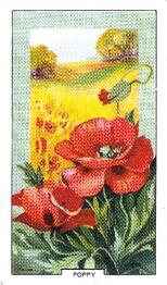 1939 Gallaher Wild Flowers #4 Poppy Front