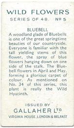 1939 Gallaher Wild Flowers #5 Bluebell Back