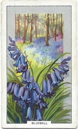 1939 Gallaher Wild Flowers #5 Bluebell Front
