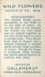 1939 Gallaher Wild Flowers #8 Meadowsweet Back