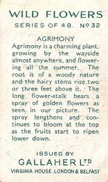 1939 Gallaher Wild Flowers #32 Agrimony Back