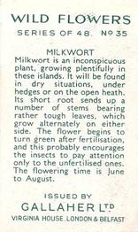 1939 Gallaher Wild Flowers #35 Milkwort Back