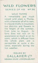 1939 Gallaher Wild Flowers #36 Wild Thyme Back
