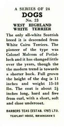 1961 Barbers Tea Dogs #23 West Highland White Terrier Back