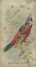 1910 Keystone Confections Bird Cards (E34) #NNO Orchard Oriole Front