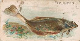 1907 Philadelphia Caramel Zoo Cards: Fish (E32) #NNO Flounder Front