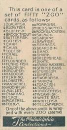 1907 Philadelphia Caramel Zoo Cards: Fish (E32) #NNO Rock Blackfish Back