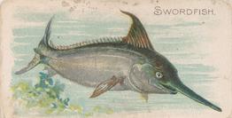 1907 Philadelphia Caramel Zoo Cards: Fish (E32) #NNO Swordfish Front