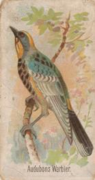 1907 Philadelphia Caramel Zoo Cards: Songbirds (E30) #NNO Audubon's Warbler Front