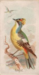 1907 Philadelphia Caramel Zoo Cards: Songbirds (E30) #NNO Kinglet Front