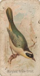 1907 Philadelphia Caramel Zoo Cards: Songbirds (E30) #NNO Maryland Yellow-throat Front