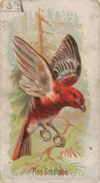 1907 Philadelphia Caramel Zoo Cards: Songbirds (E30) #NNO Pine Grosbeak Front