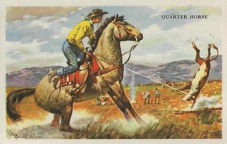 1948 Gordon's Bread Horses (D39-5) #NNO Quarter Horse Front