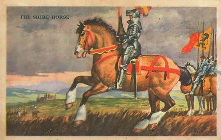 1948 Gordon's Bread Horses (D39-5) #NNO The Shire Horse Front