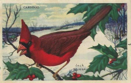 1950 Gordon's Bread Bird Pictures (D39-11) #NNO Cardinal Front