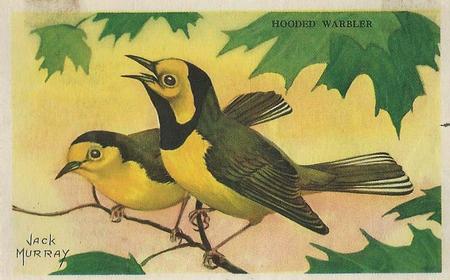 1950 Gordon's Bread Bird Pictures (D39-11) #NNO Hooded Warbler Front