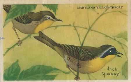 1950 Gordon's Bread Bird Pictures (D39-11) #NNO Maryland Yellow-Throat Front
