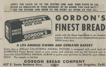 1946 Gordon's Bread California Animals (D39-12) #NNO Gray Fox Back