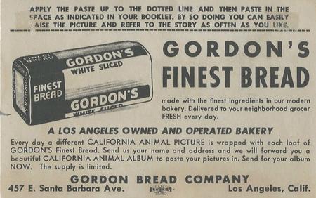 1946 Gordon's Bread California Animals (D39-12) #NNO Jack Rabbit Back
