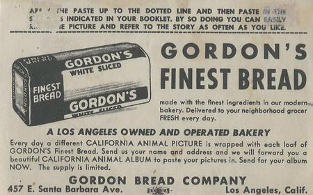 1946 Gordon's Bread California Animals (D39-12) #NNO Mole Back